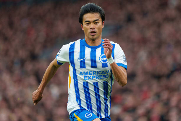 种理念的指 种理念的指