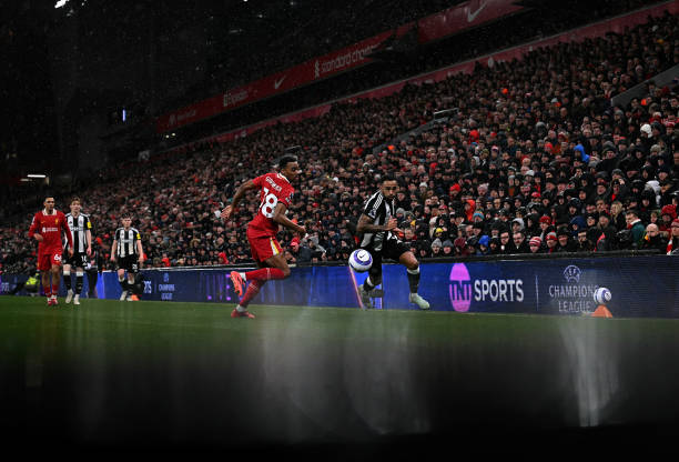 最终成长为 最终成长为